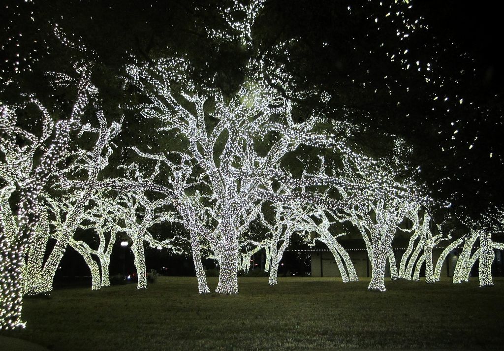 Vánoční světelná dekorace na stromech