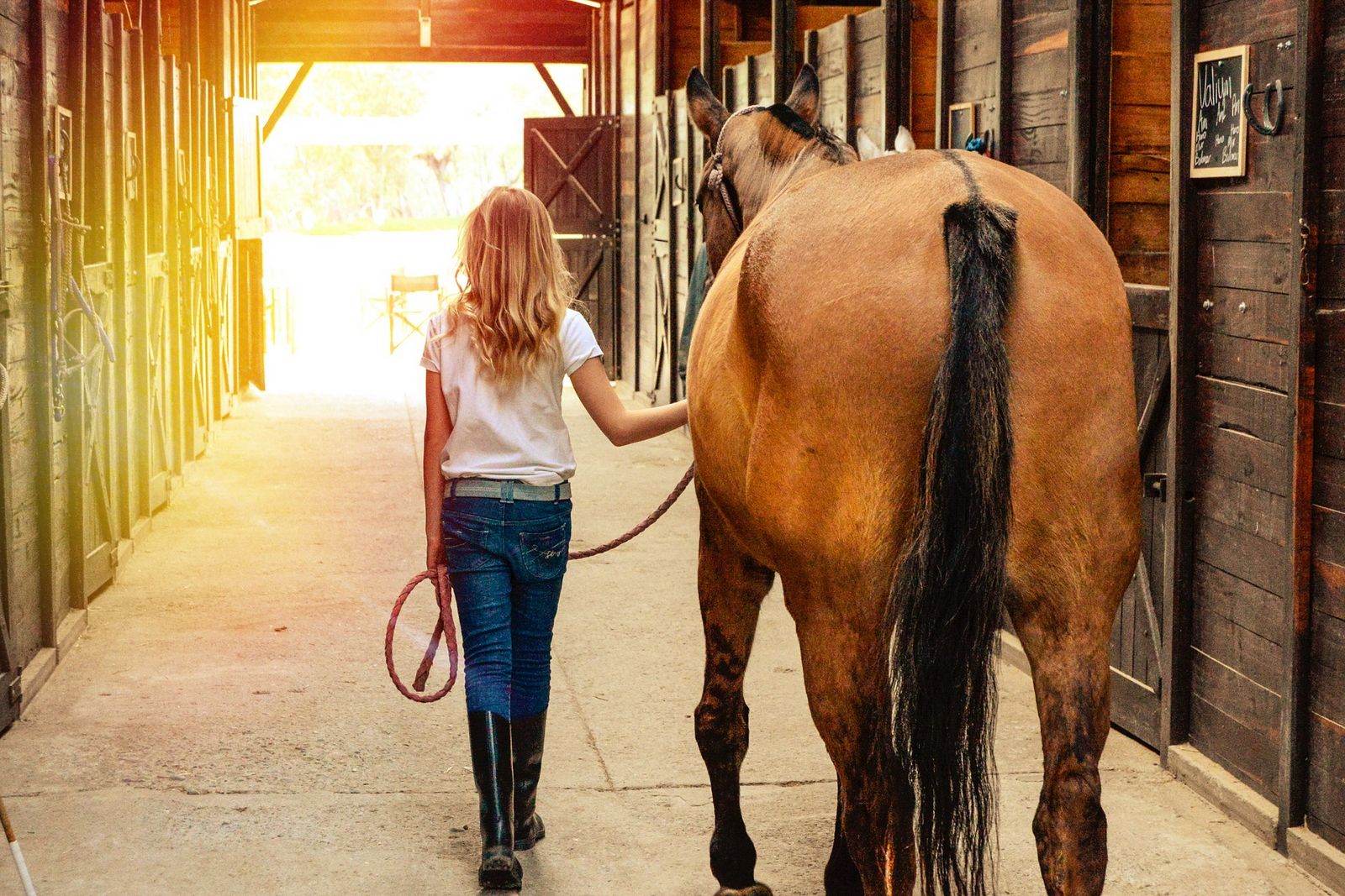 Víkend s koňmi může být pěkným dárkem pro nejednu puberťačku. Ilustrační foto
